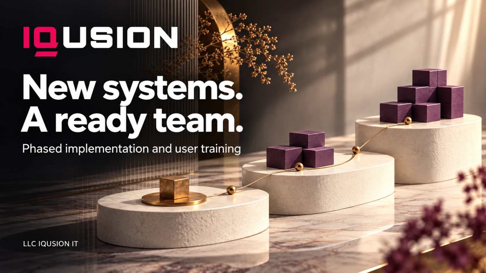 IQusion — New systems. A ready team. Phased implementation and user training.